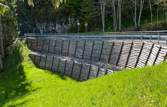 2021 05 27 Burgberg HAW (4)