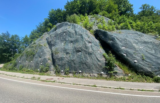 Felsvernetzung Tecco Mit Errosionschutzgewebe Polyfelt Green