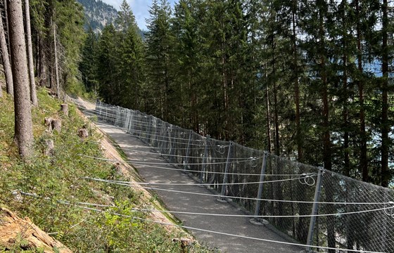 Lawinenschutz Haldensee 2