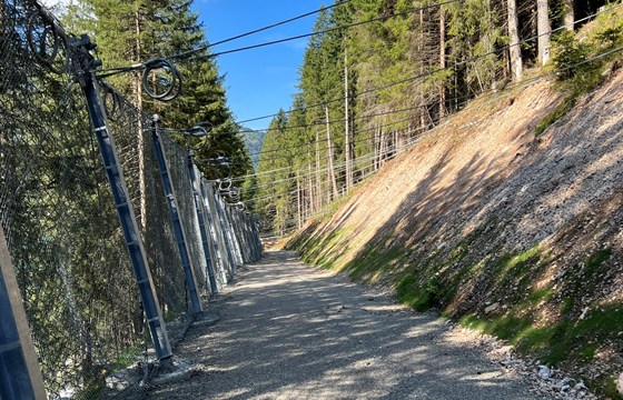 Lawinenschutz Haldensee 1